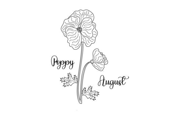 Reviewing August Poppy Line Art for Embroidery