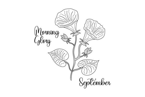 September Morning Glory: Crafts & Designs Drawings